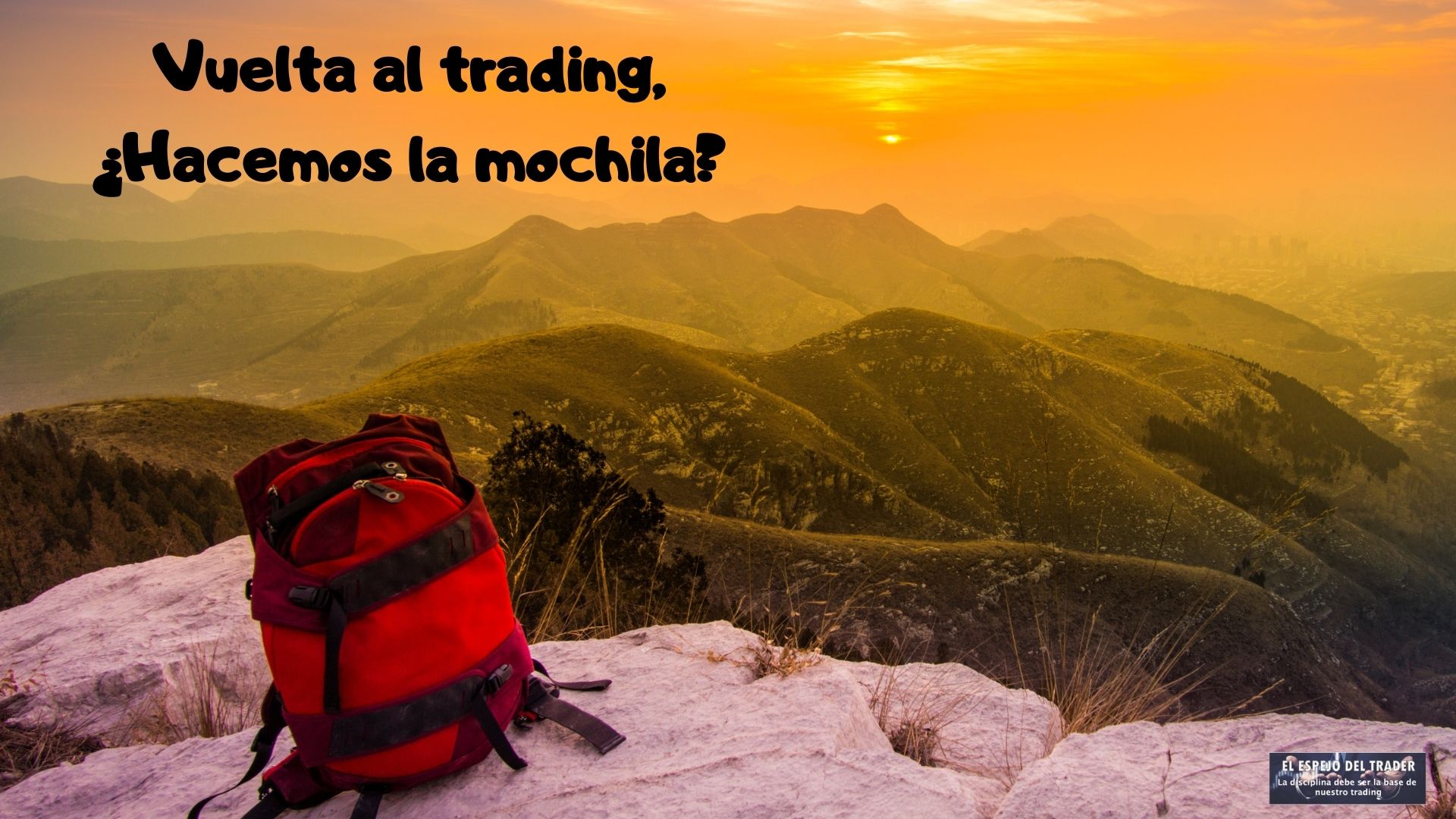 QUE LOS ÁRBOLES NO TE IMPIDAN VER EL BOSQUE - Curso Swing Trading